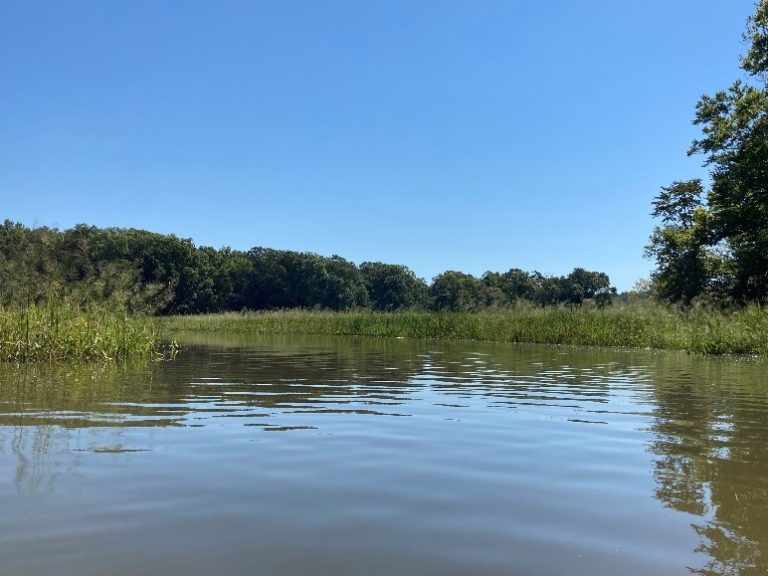 Kings Landing Park
